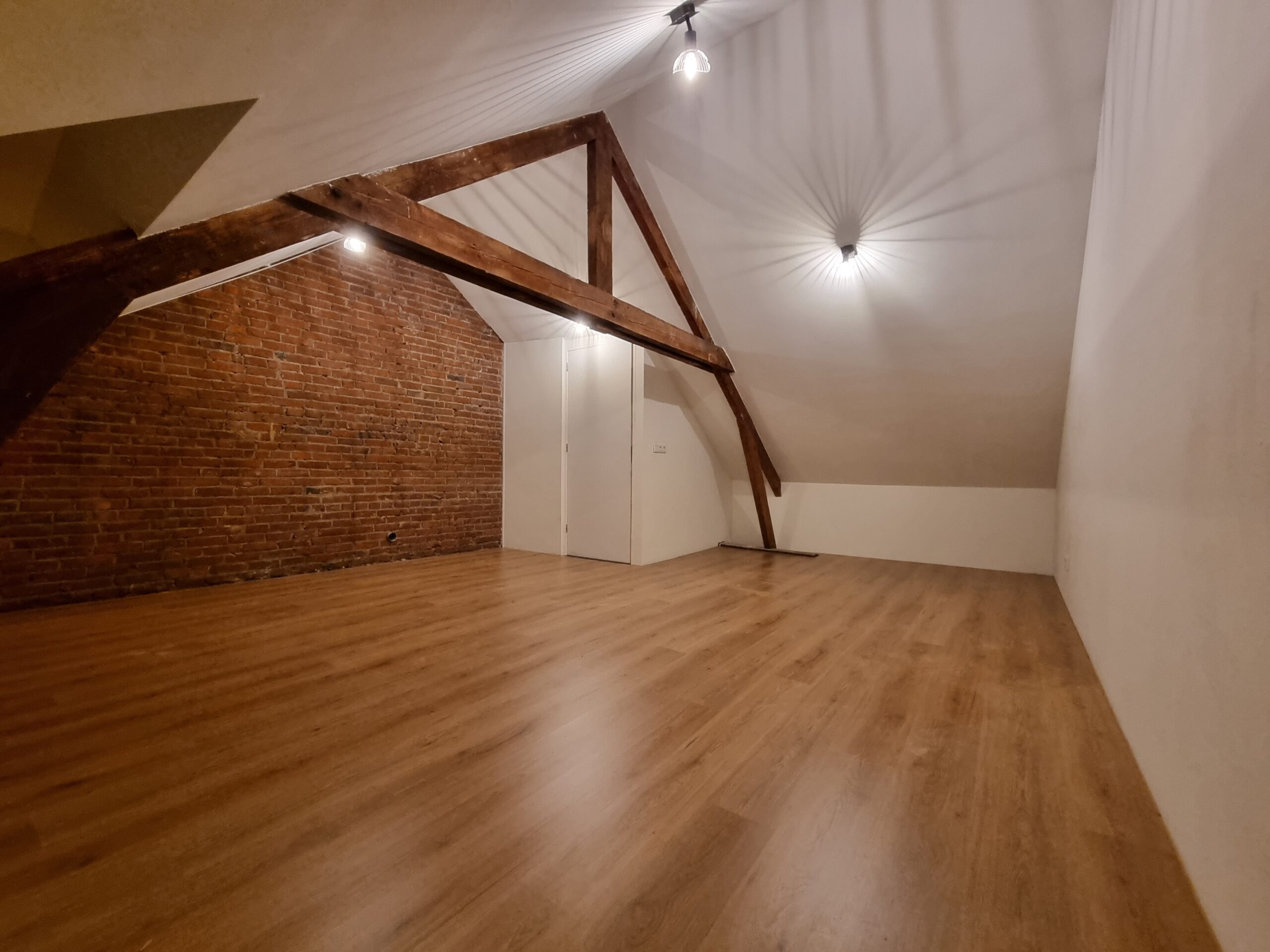 Attic Renovation